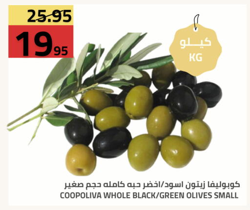 متوفر لدى أسواق أسترا في مملكة العربية السعودية, السعودية, سعودية - تبوك