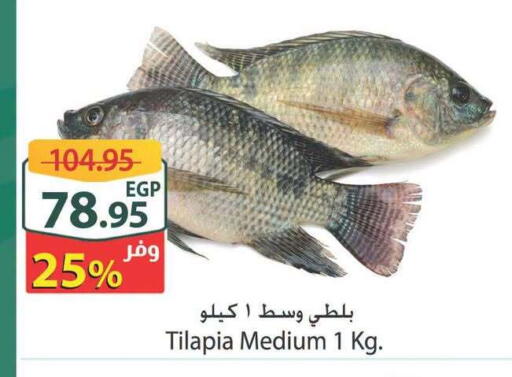 available at Spinneys  in Egypt - Cairo