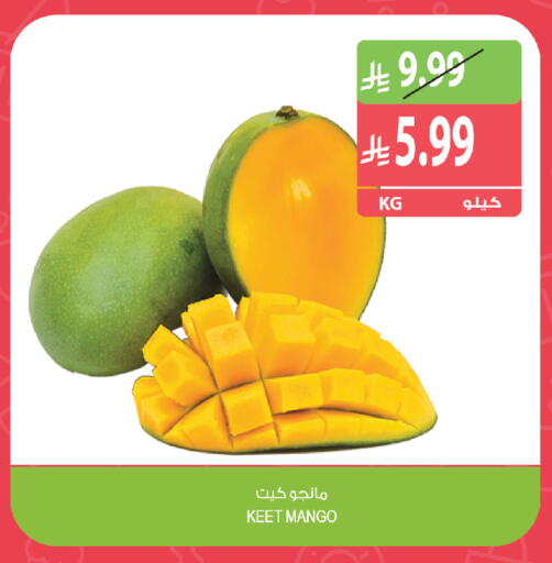 Mango متوفر لدى المزرعة في مملكة العربية السعودية, السعودية, سعودية - الخفجي