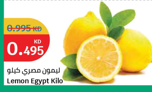 Lemon from Egypt available at City Hypermarket in Kuwait - Ahmadi Governorate