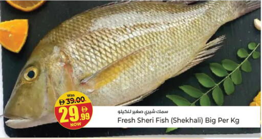 available at Kenz Hypermarket in UAE - Sharjah / Ajman