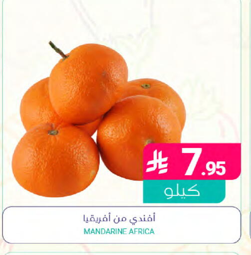 available at Muntazah Markets in KSA, Saudi Arabia, Saudi - Saihat