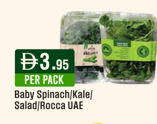 Spinach Kale available at West Zone Supermarket in UAE - Dubai