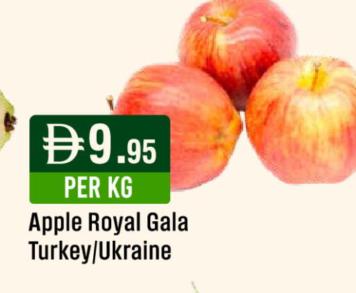 Apple from Turkey Ukraine available at West Zone Supermarket in UAE - Abu Dhabi