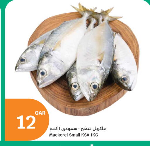 متوفر لدى سيتي هايبرماركت في قطر - الريان