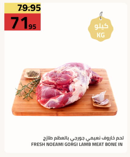 متوفر لدى أسواق أسترا في مملكة العربية السعودية, السعودية, سعودية - تبوك