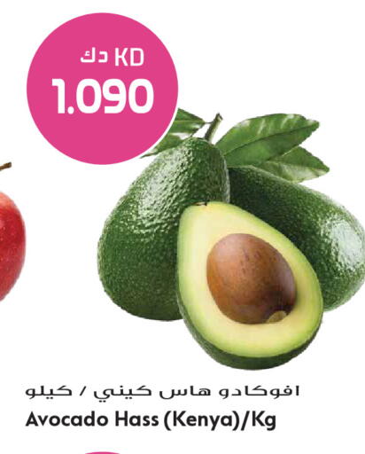 Avocado from Kenya available at Grand Hyper in Kuwait - Jahra Governorate