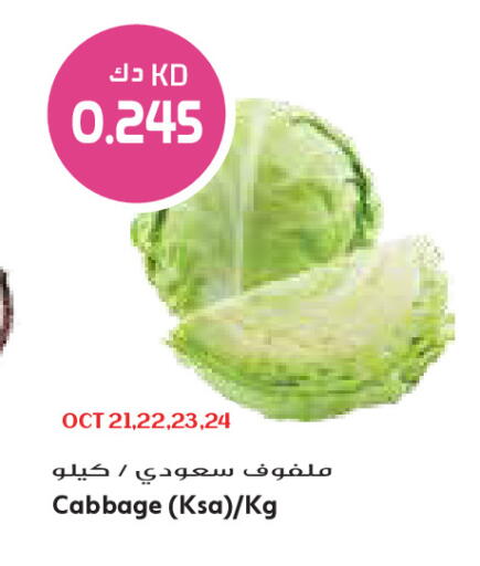 Cabbage available at Grand Costo in Kuwait - Kuwait City