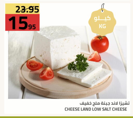 available at Astra Markets in KSA, Saudi Arabia, Saudi - Tabuk