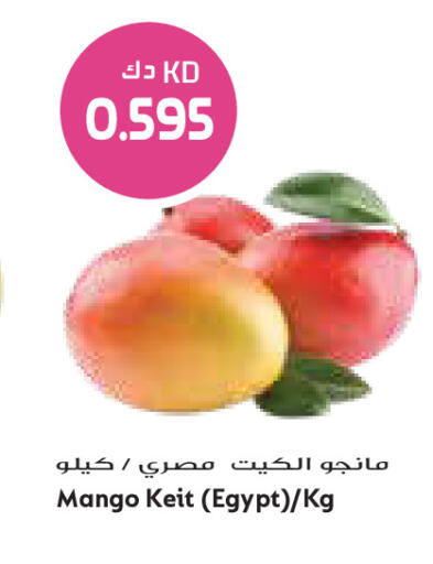 Mango from Egypt available at Grand Costo in Kuwait - Ahmadi Governorate