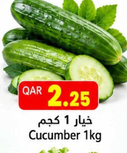 Cucumber متوفر لدى جلف فود سنتر في قطر - الوكرة