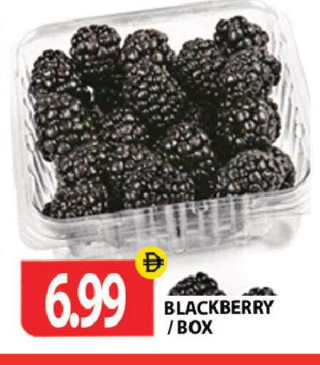 Blackberry متوفر لدى جلف هايبرماركت ذ.م.م في الإمارات العربية المتحدة , الامارات - رَأْس ٱلْخَيْمَة