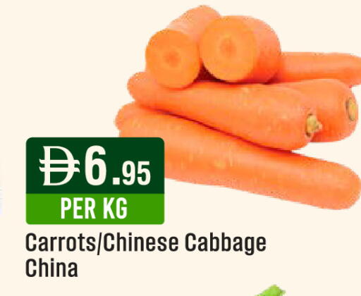 Cabbage من China متوفر لدى ويست زون سوبرماركت في الإمارات العربية المتحدة , الامارات - الشارقة / عجمان