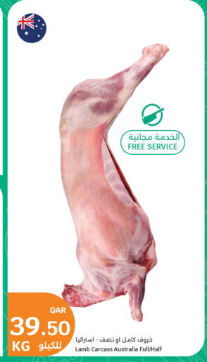 available at City Hypermarket in Qatar - Al Rayyan