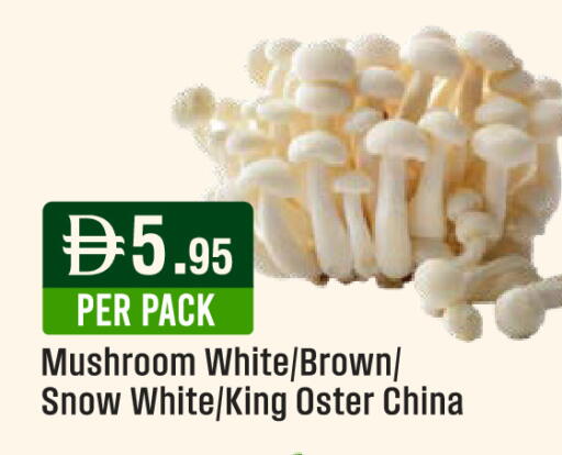 Mushroom من China متوفر لدى ويست زون سوبرماركت في الإمارات العربية المتحدة , الامارات - الشارقة / عجمان