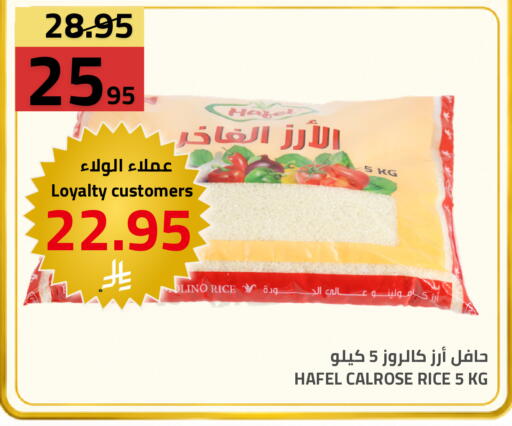available at Astra Markets in KSA, Saudi Arabia, Saudi - Tabuk