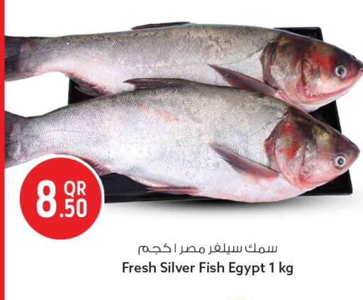 available at Safari Hypermarket in Qatar - Al Wakra