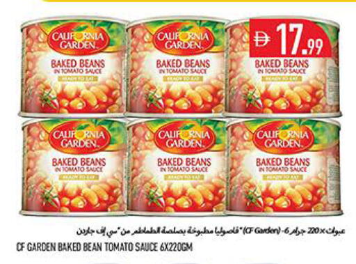 Tomato متوفر لدى  روابي ماركت عجمان في الإمارات العربية المتحدة , الامارات - الشارقة / عجمان