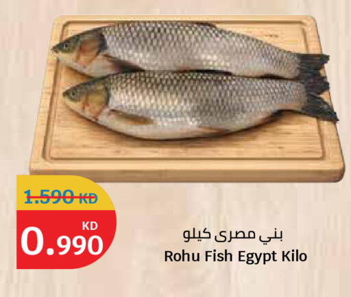 متوفر لدى سيتي هايبرماركت في الكويت - مدينة الكويت