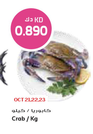 متوفر لدى جراند كوستو في الكويت - مدينة الكويت