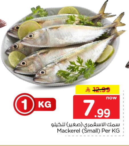متوفر لدى نستو في مملكة العربية السعودية, السعودية, سعودية - الرياض