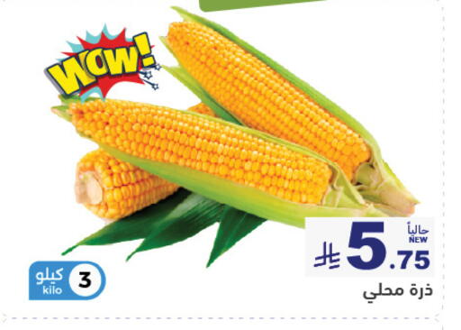 متوفر لدى أسواق رامز في مملكة العربية السعودية, السعودية, سعودية - الرياض