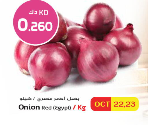 Onion من Egypt متوفر لدى جراند هايبر في الكويت - مدينة الكويت