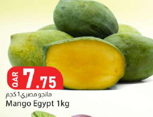 Mango من Egypt متوفر لدى دانا ماركت في قطر - الشحانية