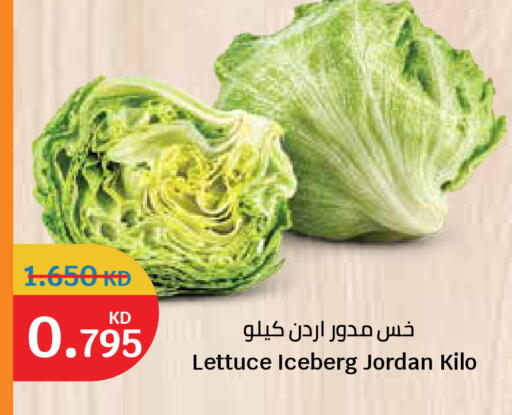 Lettuce from Jordan available at City Hypermarket in Kuwait - Ahmadi Governorate