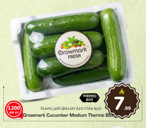 Cucumber متوفر لدى نستو في مملكة العربية السعودية, السعودية, سعودية - الخبر‎