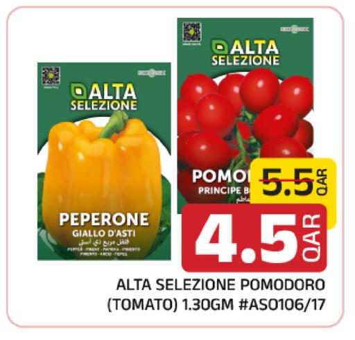 Tomato متوفر لدى مركز التموين العائلي في قطر - الريان