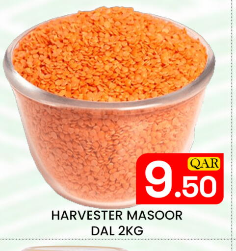 available at Majlis Hypermarket in Qatar - Doha
