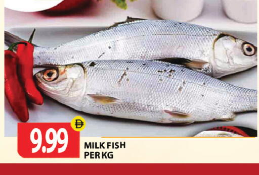 available at Gulf Hypermarket LLC in UAE - Ras al Khaimah