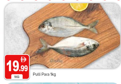 available at TALAL MARKET in UAE - Dubai