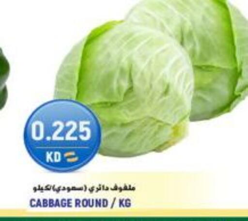 Cabbage متوفر لدى  سابساه هايبر ماركت في الكويت - محافظة الجهراء