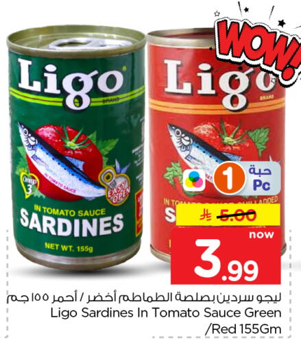 Tomato available at Nesto in KSA, Saudi Arabia, Saudi - Al Khobar
