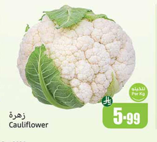 Cauliflower available at Othaim Markets in KSA, Saudi Arabia, Saudi - Al Hasa