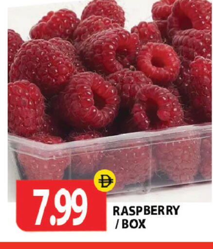 Raspberry متوفر لدى جلف هايبرماركت ذ.م.م في الإمارات العربية المتحدة , الامارات - رَأْس ٱلْخَيْمَة