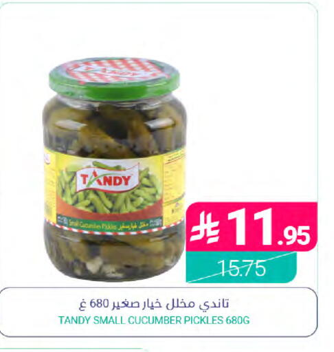 Cucumber available at Muntazah Markets in KSA, Saudi Arabia, Saudi - Saihat