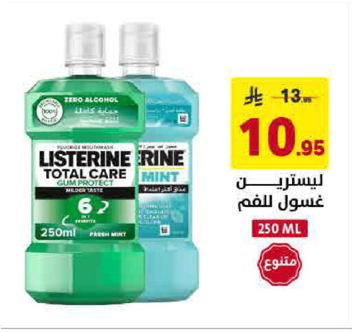 Mint available at Ala Kaifak in KSA, Saudi Arabia, Saudi - Hafar Al Batin