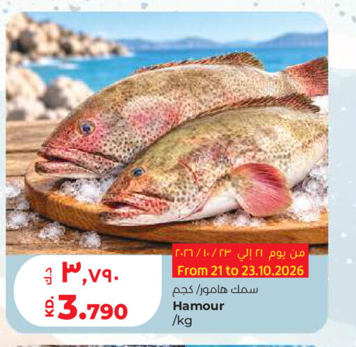 available at Lulu Hypermarket  in Kuwait - Ahmadi Governorate