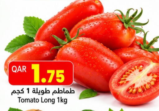 Tomato متوفر لدى جلف فود سنتر في قطر - الوكرة