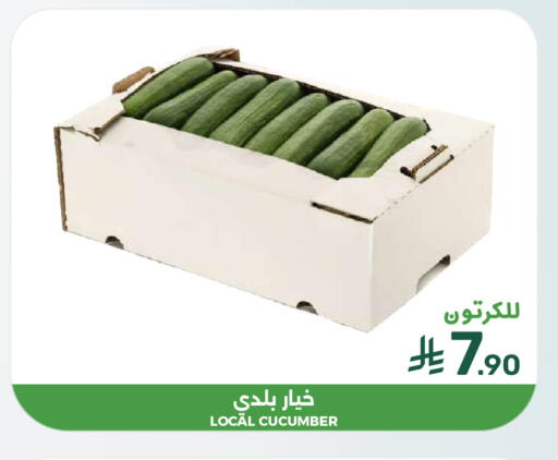 Cucumber available at Mazaya in KSA, Saudi Arabia, Saudi - Saihat
