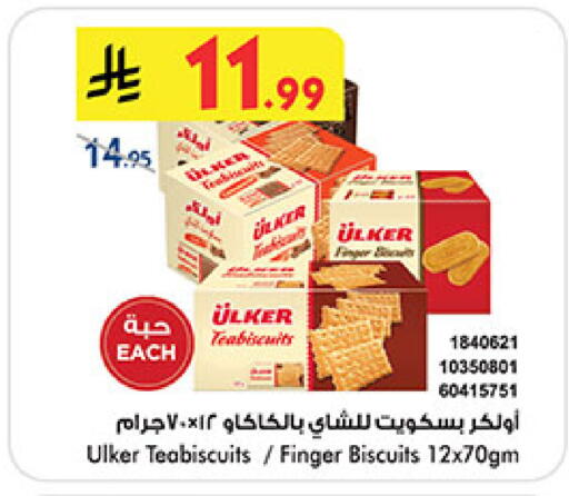 متوفر لدى بن داود في مملكة العربية السعودية, السعودية, سعودية - المدينة المنورة
