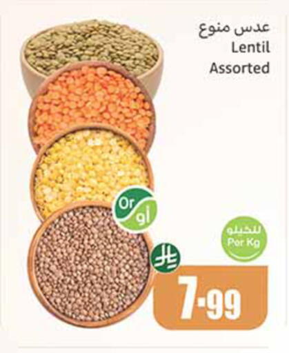available at Othaim Markets in KSA, Saudi Arabia, Saudi - Najran