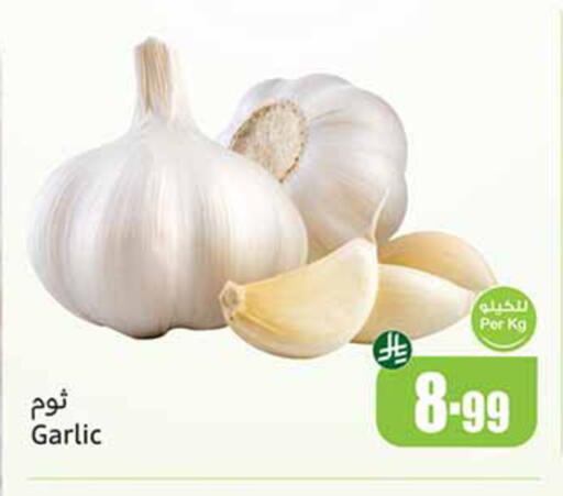 Garlic available at Othaim Markets in KSA, Saudi Arabia, Saudi - Al Hasa