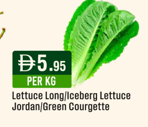 Lettuce من Jordan متوفر لدى ويست زون سوبرماركت في الإمارات العربية المتحدة , الامارات - الشارقة / عجمان
