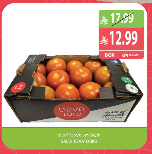 Tomato من Saudi Arabia متوفر لدى المزرعة في مملكة العربية السعودية, السعودية, سعودية - الجبيل‎