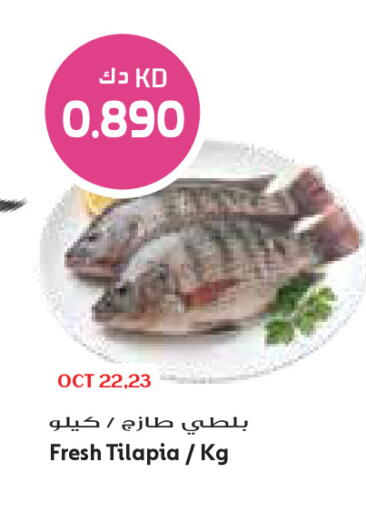 متوفر لدى جراند كوستو في الكويت - مدينة الكويت