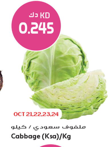 Cabbage available at Grand Hyper in Kuwait - Kuwait City